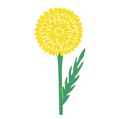 Simple vector flower illustration on transparent background