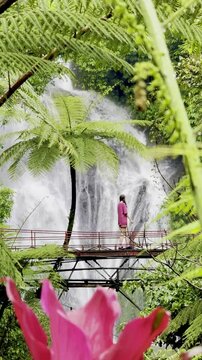 girl walks in the rain on wooden bridge under tree fern and observes the mighty Banyumala Twin waterfall surrounded by tropical vegetation. Trail to Munduk waterfall, Wanagiri village, Bali, Indonesia