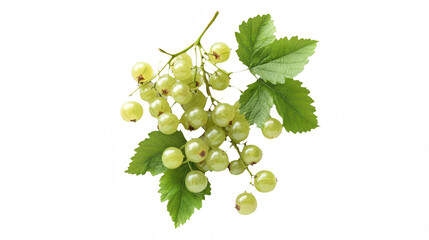 Obraz premium a branch of white grapes with green leaves on a transparent background, PNG image, PNG file, Generative art.