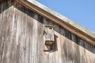 Wooden Wall with Birdhouse on Rustic Building in Nature