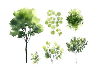 tree top watercolor hand drawn view isolated on white background for landscape plan and architecture layout drawing, elements for environment and garden