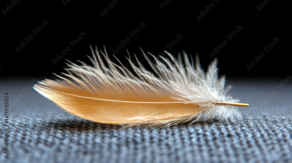 Poster close-up shot of a single feather with intricate patterns and textures laying on a textured grey fab