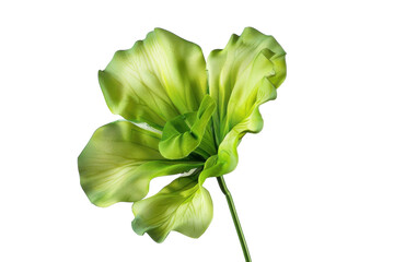 A vibrant green flower with soft petals stands gracefully against a light background, capturing the serenity of nature’s beauty isolated on transparent background