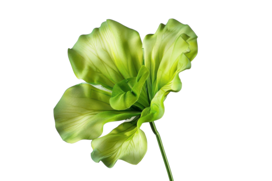 A vibrant green flower with soft petals stands gracefully against a light background, capturing the serenity of nature’s beauty isolated on transparent background - Powered by Adobe