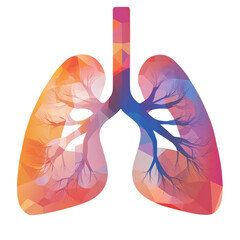 Abstract lungs illustration symbolizing respiratory health isolated on transparent background
