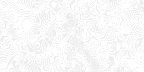 White topography topology vector white background fresh contour map texture. white seamless pattern Abstract background with a wave Topography and geography map grid abstract backdrop.