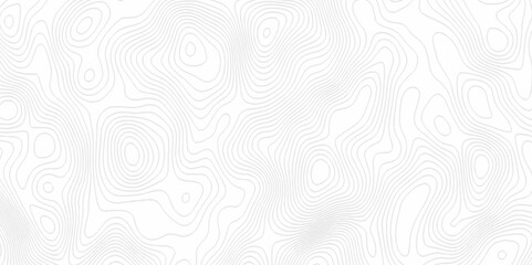 White topography topology vector white background fresh contour map texture. white seamless pattern Abstract background with a wave Topography and geography map grid abstract backdrop.