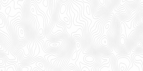White topography topology vector white background fresh contour map texture. white seamless pattern Abstract background with a wave Topography and geography map grid abstract backdrop.