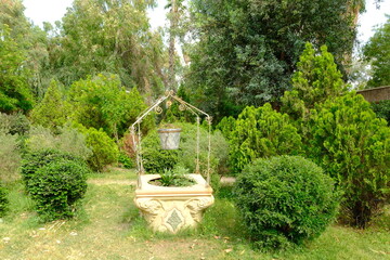 Fototapeta premium garden in the garden