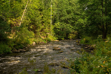 Obraz premium Lush forest river landscape photograph, green tones, flowing water and rocks, nature tranquility, no person