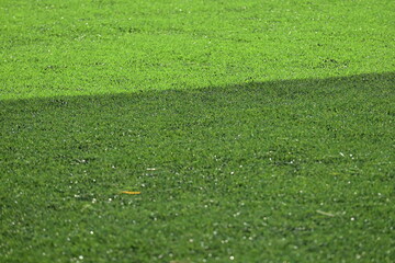 artificial green grass background for playground