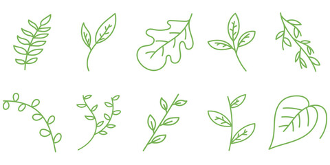 Hand Drawn Leaf Line