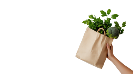 Close up of a hand holding an eco friendly reusable cloth shopping bag filled with a variety of fresh organic vegetables herbs and produce