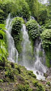 Banyu Wana Amertha waterfall flowing over a cliff overgrown with tropical vegetation hidden in the middle of dense jungle. Munduk waterfall trail, Wanagiri village. Best hikes on Bali, Indonesia
