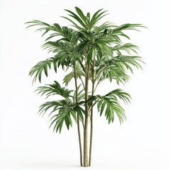 Fototapeta premium Lush Green Indoor Plant with Robust Leaves on White Background