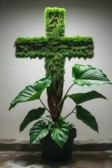 A majestosa planta, com folhas crescentes no formato de uma cruz, resalta a cruz da crucifica&ccedil;&atilde;o de Jesus. Suas folhas s&atilde;o largas, sim&eacute;tricas e possuem um tom de verde profundo, ressaltando sua beleza