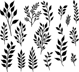 Fototapeta premium Black plant silhouettes on white background for design use 