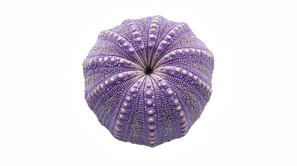 a purple ball on a transparent background, PNG image, PNG file, Generative art.