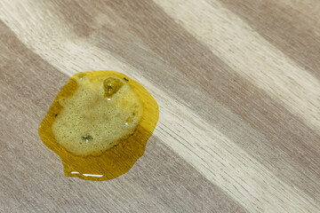 Dog vomit on floor – symptoms of pet illness, veterinary care, and common dog health problems at...