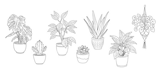 Set of Houseplants outline drawings. Indoor exotic flowers in pots line art. Monstera, aloe, hanging plant for home interior plans, design. Vector illustrations isolated