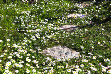 Gardening idea, DIY stepping stones made from concrete and shells in green lawn with flowering...