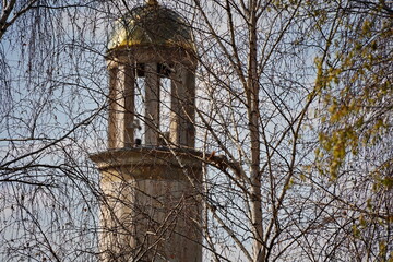 Squirrel on a tree against the background of the mosque minaret.