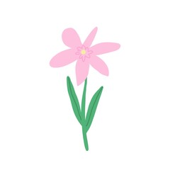 Fototapeta premium Vector illustration of a beautiful gerbera flower with bright pink petals