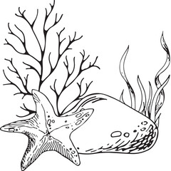 Marine composition. Vector hand drawn illustration of sea creatures on isolated background in outline style. Engraving drawn with black ink for icon or logo. Line sketch