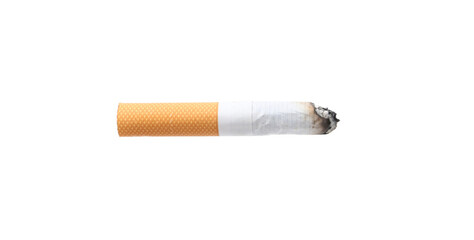 One cigarette butt isolated on white. Smoking habit