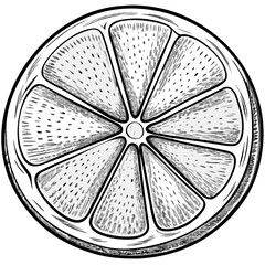 Sliced Lemon Illustration on White Background  