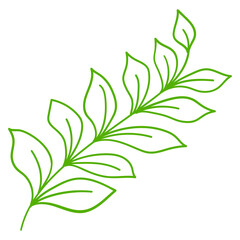 Hand Drawn Leaves Line