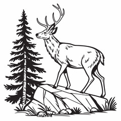 Obraz premium A vector whitetail deer standing on the hill or stone under a pine tree