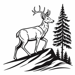 Fototapeta premium A vector whitetail deer standing on the hill or stone under a pine tree