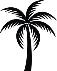 silhouette of palm tree