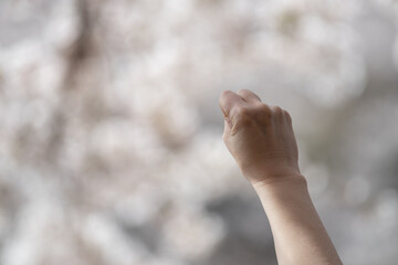 ガッツポーズする手元