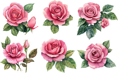 vector set of roses
