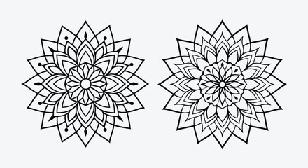 Obraz premium line art mandala vector illustration design