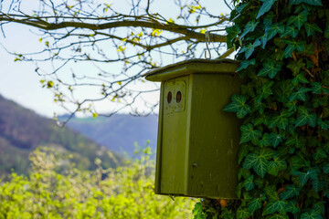bird, nature, house, garden, tree, wood, birdhouse, box, wooden, nest, japanese, old, sky, feeder, sign, landscape