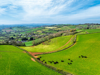 Obraz premium Farms and Fields over Torquay from a drone, Devon, England