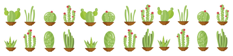 png illustration succulent tropical cactus doodle aloe nature flora floral bright cartoon garden cute houseplant collection wild mexican summer desert sticker scrapbook green design spine vector