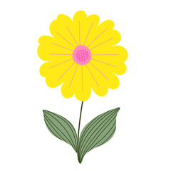 yellow flower on white background
