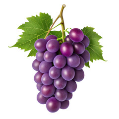 bunch of ripe purple grapes with green leaves on transparency background