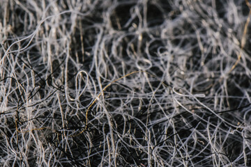 Macro shot of microplastics in food – invisible pollution, environmental contamination and hidden health