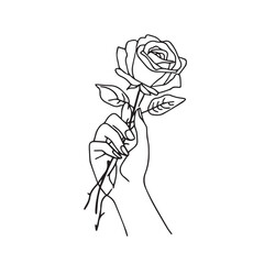 Elegant Rose: Line Art Flower Illustration with Transparent Background