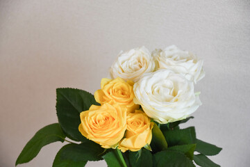 白と黄色のばら