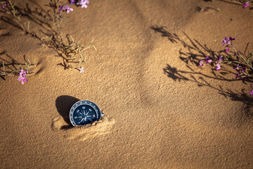Magnetic compass guiding through vast desert sands, adorned with delicate purple flowers