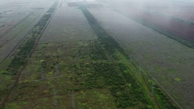 Bird's-eye view of power lines, a green field and trees
