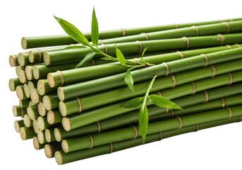 Fototapeta premium Stack of green bamboo stalks with leaves attached