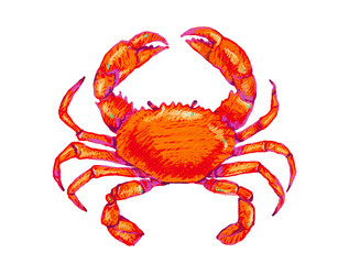 red crab Hand Drawn Summer Tropical isolated sea seafood restaurant cafe on transparent background