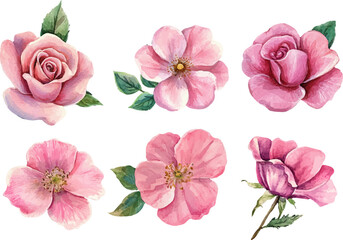 Hand-Painted Pink Rose – Watercolor Floral Clipart for Crafts
